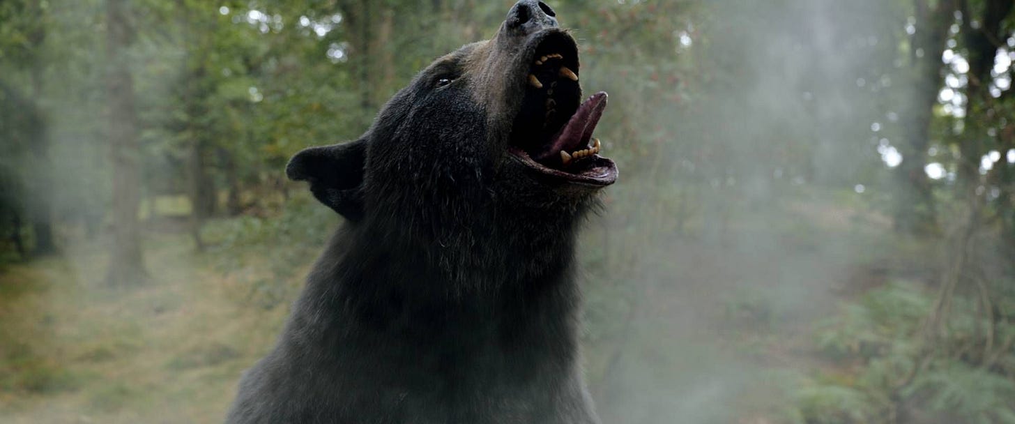 Cocaine Bear